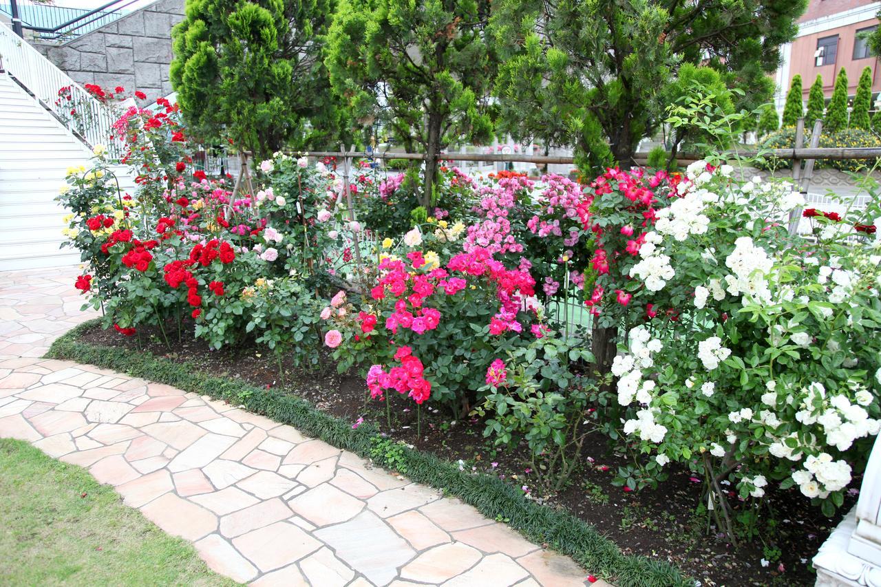Hotel Sunlife Garden Hiratsuka Exterior photo
